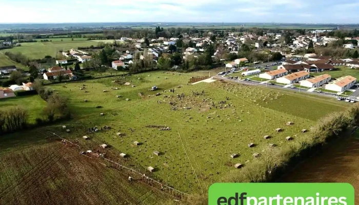 Bois des Elfes - France