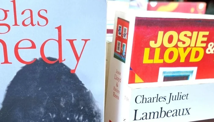 Bouquinerie Salon De The La Fab Qui Lit Librairie De Livres D Occasion - Mornac-sur-seudre