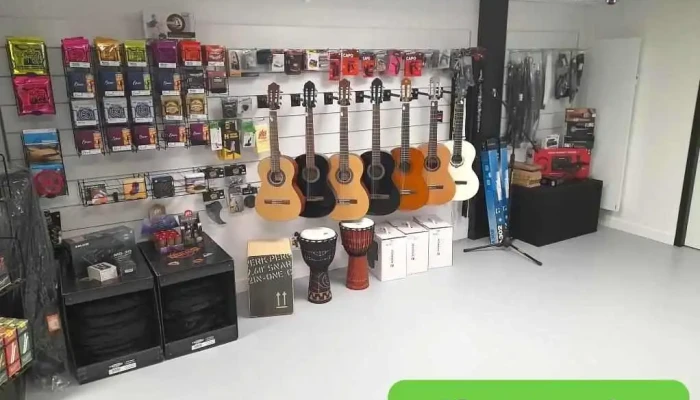 Brass Brothers Sarl -  Guitare Electrique - Bressuire