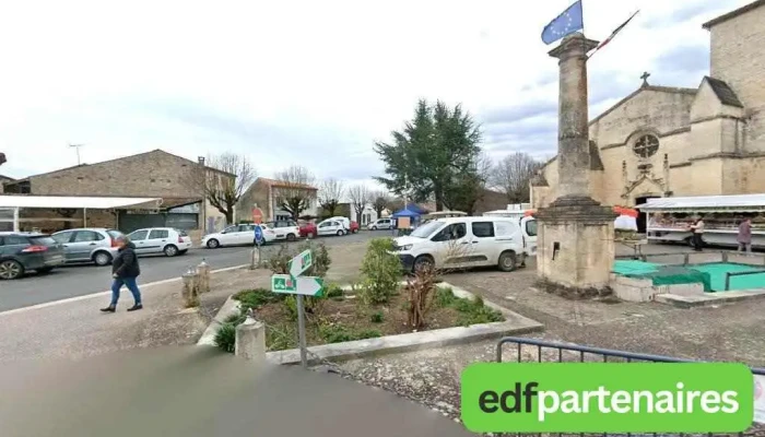 brin de paille coulon - Coulon