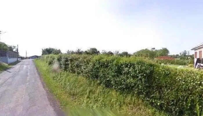 Briouxaise Des Bois Sarl -  Street View Et 360deg - Vernoux-sur-boutonne