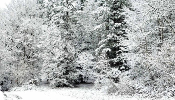 Bugeat Plateau De Millevaches Correze Limousin Commerces - Bugeat