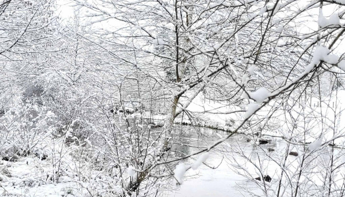 Bugeat Plateau De Millevaches Correze Limousin Ou - Bugeat