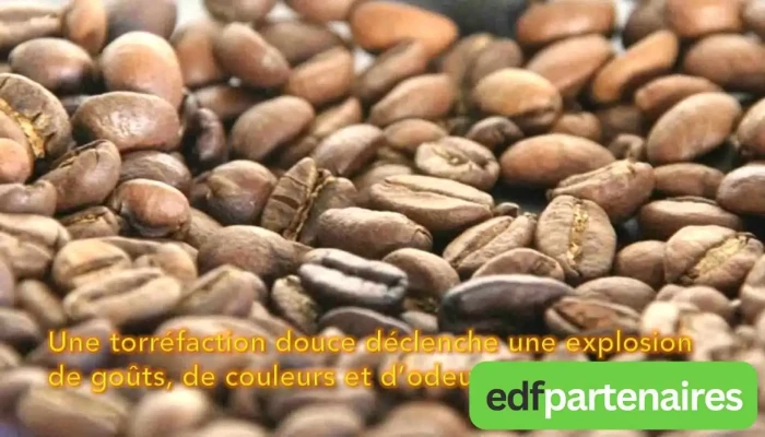 Cafe Des Iles Tout - Gauriaguet