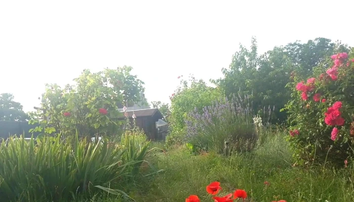 Cap Motoculture -    Chauvigny   Husqvarna Jardres - Jardres