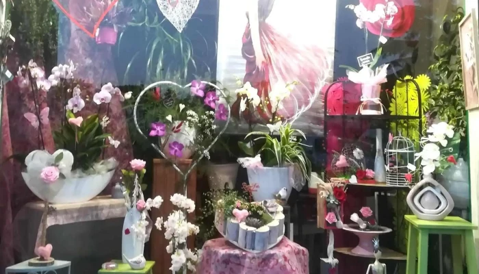 Centifolia -  Interieur - Burie