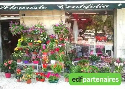 Centifolia -  Photos Du Proprietaire - Burie