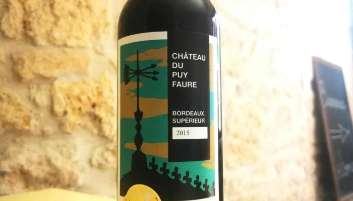 Chateau Du Puy Faure Vin - Val De Virvée