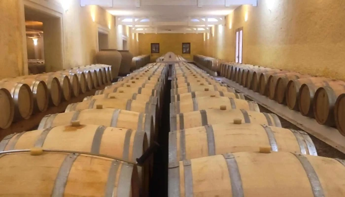 Chateau Fonreaud Vignoble - Listrac-médoc