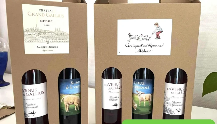 Château Grand Gallius - 33340 Gaillan-En-Médoc