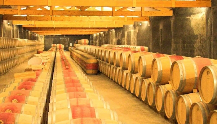 Chateau Labegorce -  Catalogue - Margaux-cantenac