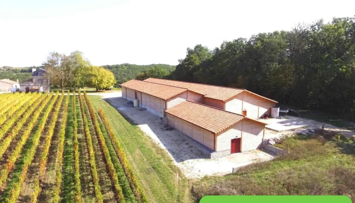 Château Montdoyen - Vignobles J.p. Hembise - 24240 Monbazillac