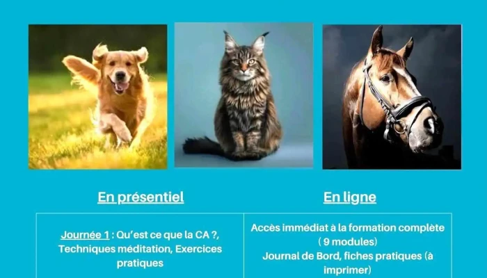 Christelle Descot -    Specialiste En Communication Animale Guidance Intuitive En Gironde Les Plus Recentes - Audenge