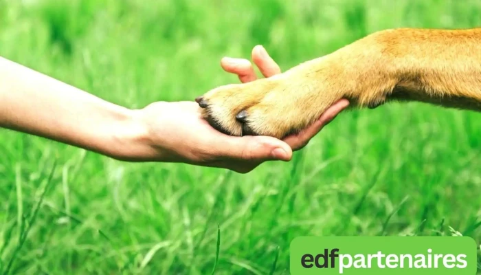 Christelle Descot -    Specialiste En Communication Animale Guidance Intuitive En Gironde Tout - Audenge