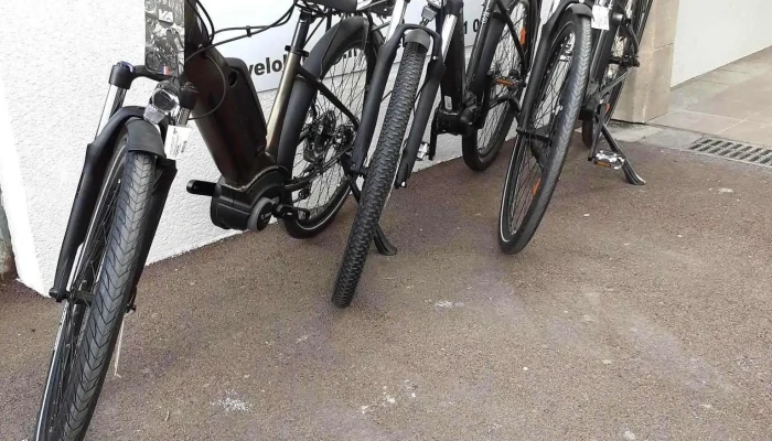 Cycles Bruges -    Magasin Velo Bordeaux   Reparation Velo Bordeaux   Location Velo Bordeaux Photos Du Proprietaire - Bruges