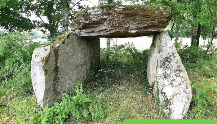 Dolmen de la Tamanie - France