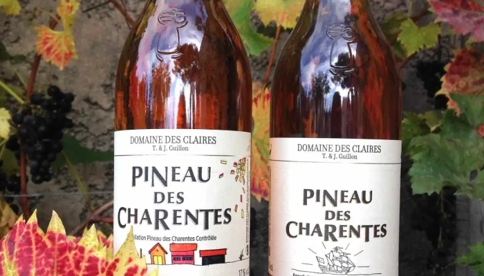 Domaine Des Claires -  Tout - Arvert