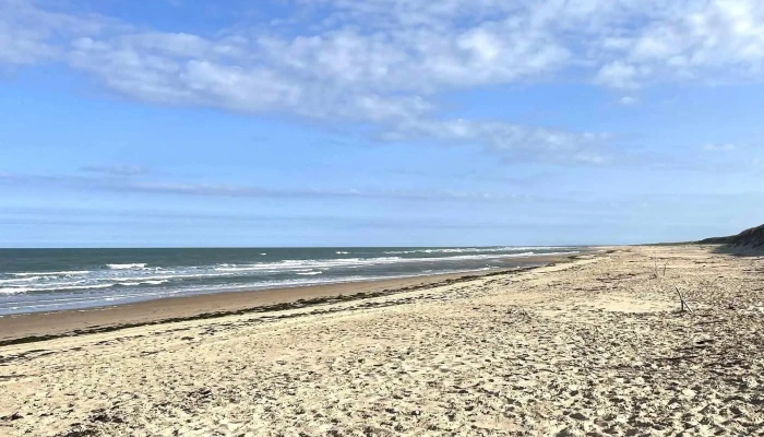 Ecole De Surf -    Coco Surf Horaire - Arvert