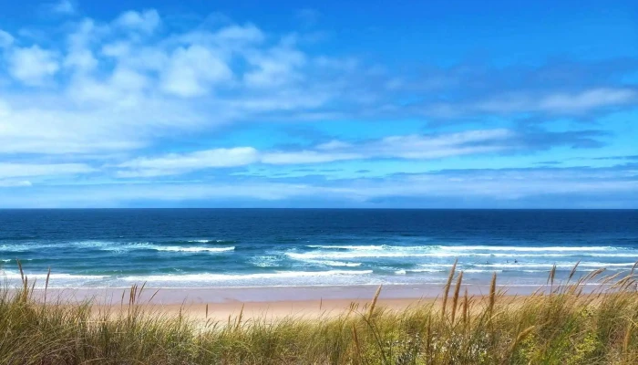 Ecole De Surf -    Coco Surf Instagram - Arvert