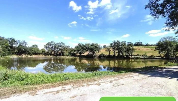 Etang de pêche de la Coux - Auzances