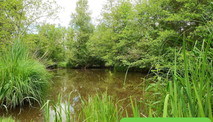 Etang de Prignac et Marcamp - France