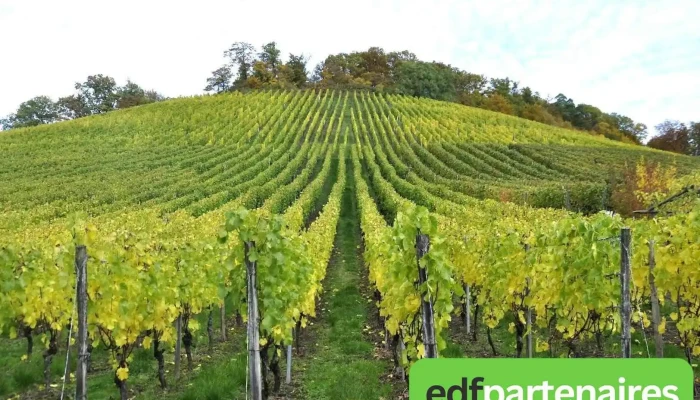 Ets Niort Agricole - Châteauneuf-Sur-Charente