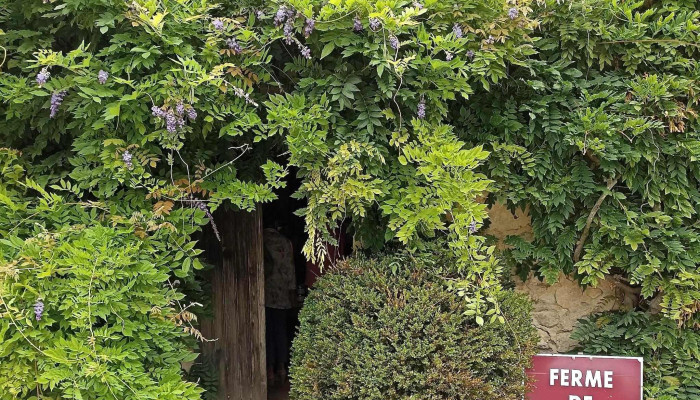Ferme De Vertessec -  Catalogue - Avensan