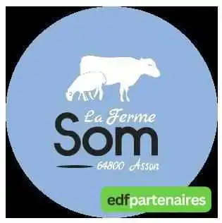 Ferme Som -  Bovin - Asson