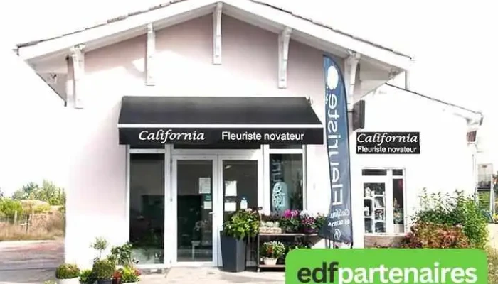 Fleuriste California - 33190 Gironde-Sur-Dropt