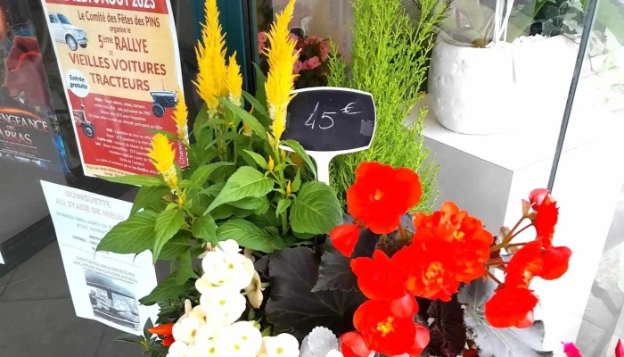 Floralies -  Fleuriste - Chasseneuil-sur-bonnieure