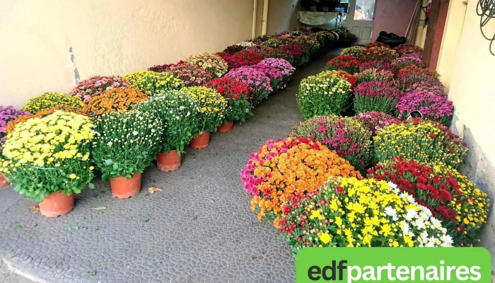 Floralies -  Jardin - Chasseneuil-sur-bonnieure