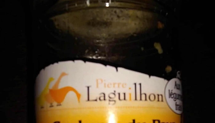Foie Gras Maison Laguilhon -  Comment Arriver - Bénéjacq
