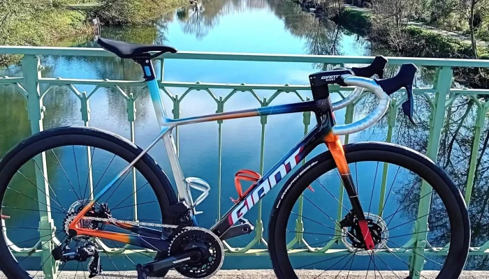Giant Niort -  Photos - Chauray