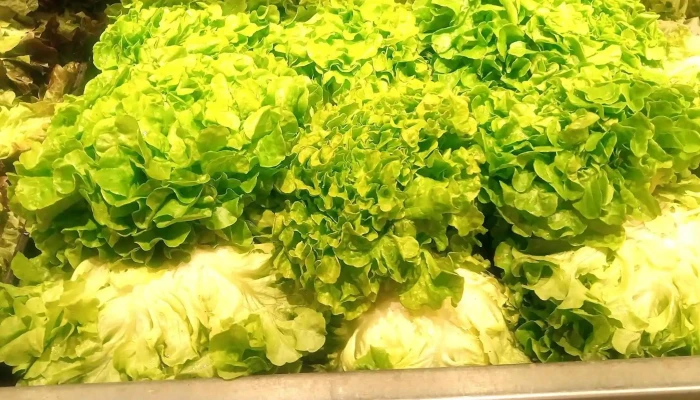 Grand Frais Niort -  Supermarche - Niort