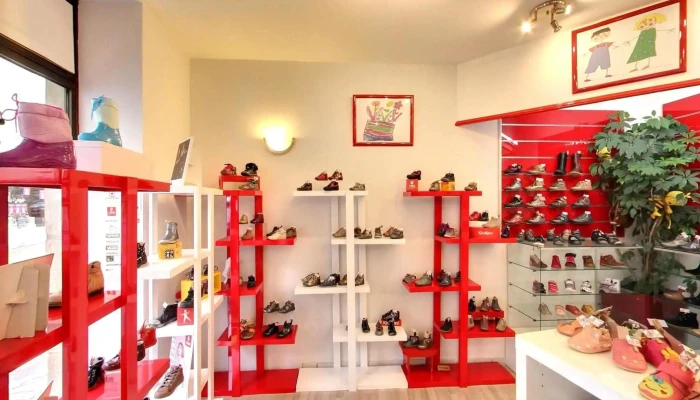 Groupement De La Chaussure Du Centre -  Tout - Brive-la-gaillarde
