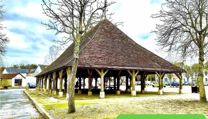 Halles de Pleumartin - 86450 Pleumartin