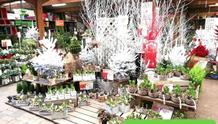 Jardiland -  Interieur - Brive-la-gaillarde