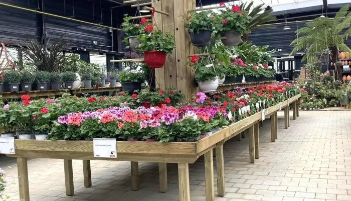 Jardiland -  Interieur - Chauray