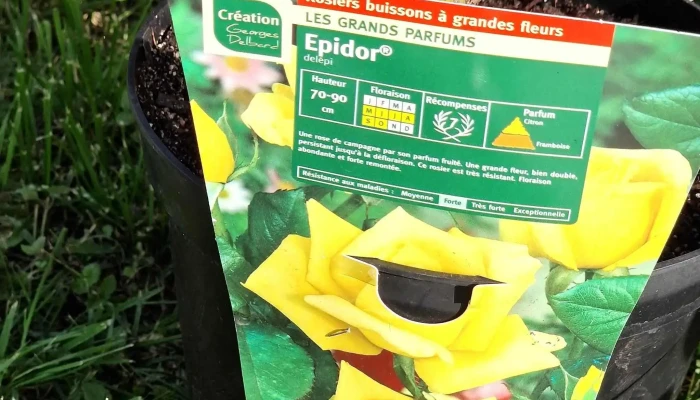 Jardiland -  Reductions - Brive-la-gaillarde