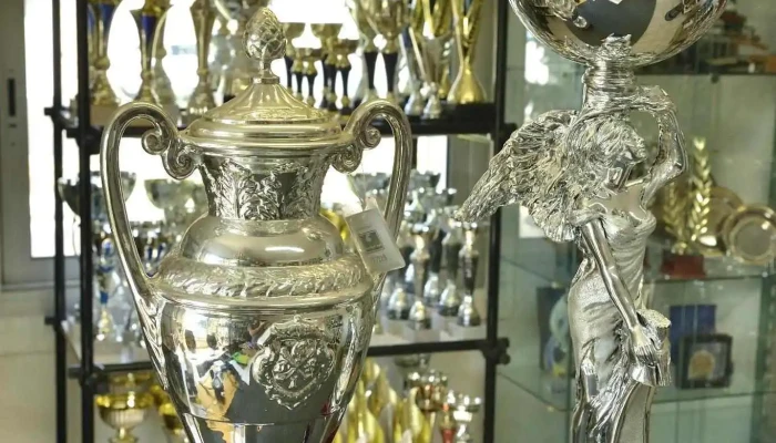 Jose Grains Et Trophees Interieur - Artigues-près-bordeaux