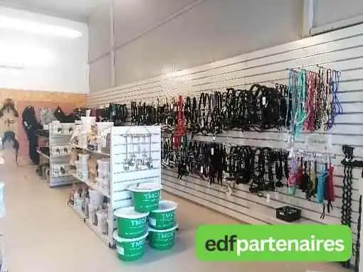 La Boutique Le Sabot Vert - 86500 Montmorillon