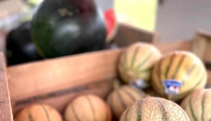 La Cabane À Fruits & Légumes (Charente Maritime 17) - Arvert