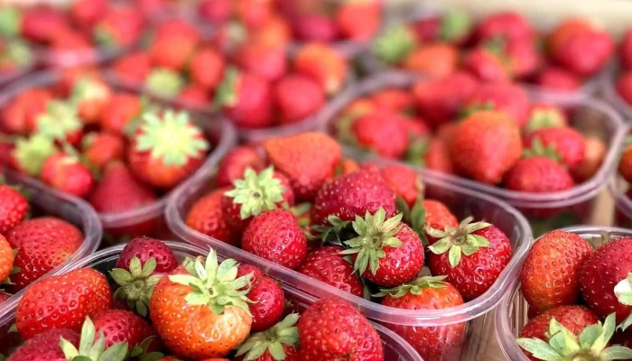 La Cabane A Fruits Legumes Charente Maritime 17 Comment Arriver - Arvert