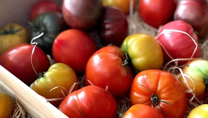 La Cabane A Fruits Legumes Charente Maritime 17 Ou - Arvert