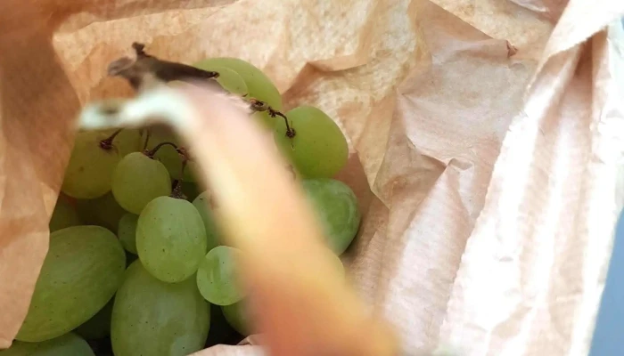 La Cabane A Fruits Legumes Charente Maritime 17 Pres De Moi - Arvert