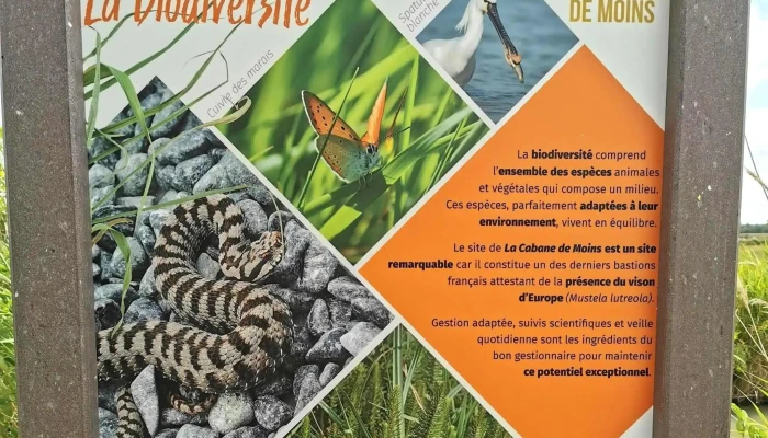 La Cabane De Moins -  Zone - Breuil-magné
