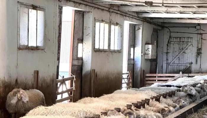 La Ferme Salies -  Salet Adresse - Arette