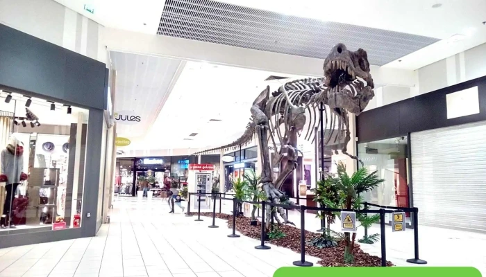La Galerie -    Niort Tout - Chauray