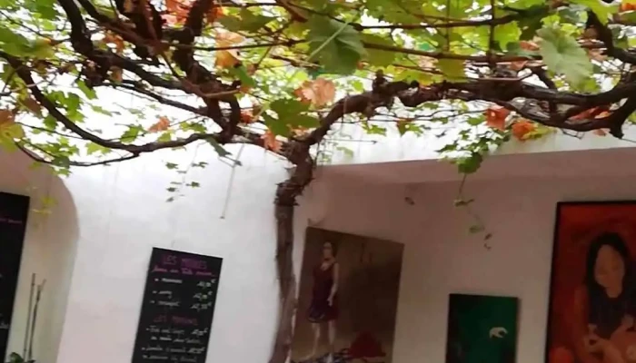La Taverne De Mornac -  Videos - Mornac-sur-seudre