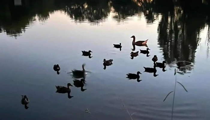 Lac -  Tout - Val De Virvée